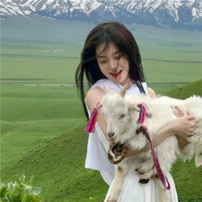 面团与炸药