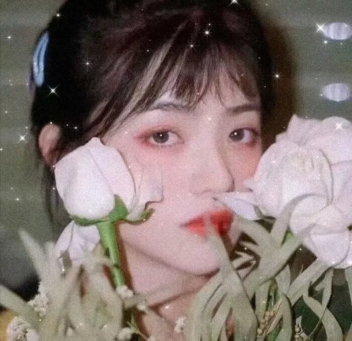 白天的星星